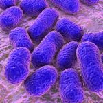 Superando a las superbacterias: la IA se convierte en un aliado clave para descubrir nuevos antibióticos