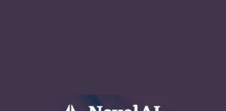 cómo usar - Novel AI