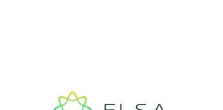 cómo usar elsa speak AI