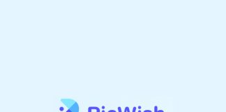 cómo usar - picwish AI