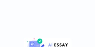 Cómo usar Essay Checker AI