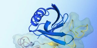 AlphaProteo de DeepMind está utilizando IA para generar nuevas proteínas