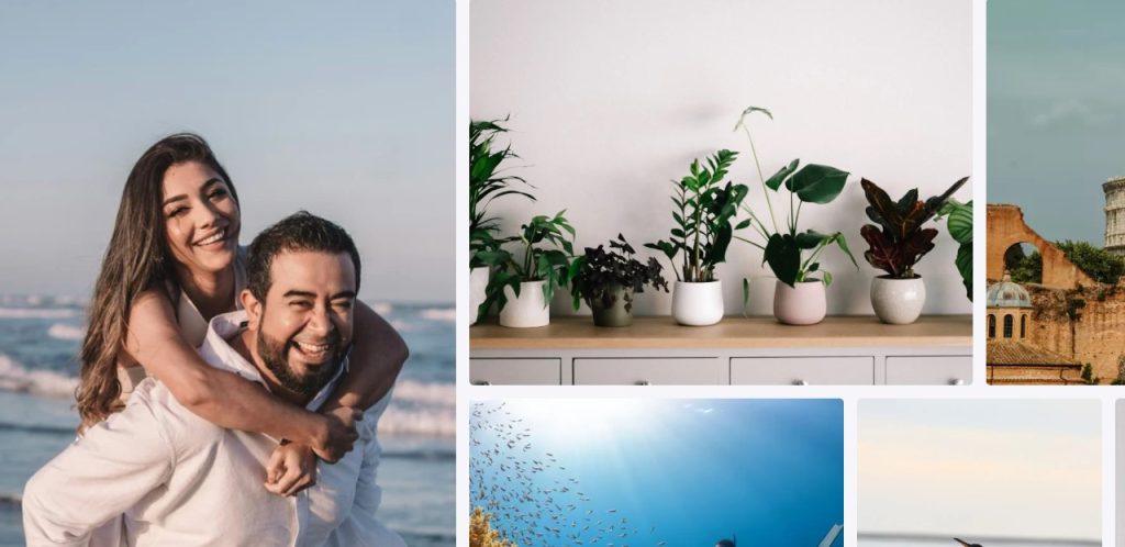 Cómo buscar imágenes con IA - Cómo usar Lenso AI