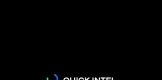 Cómo usar Quick intel AI