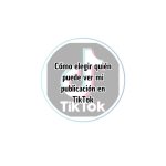 Cómo elegir quién puede ver mi publicación en TikTok