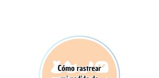 Cómo rastrear mi pedido de Temu