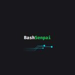 Cómo usar un asistente de terminal con IA: Utiliza BashSenpai y deja de buscar comandos en Google Cómo usar BashSenpai AI