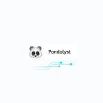 Cómo usar Pandalyst AI