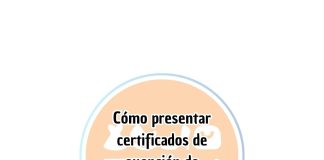 Cómo presentar certificados de exención de impuestos en Temu