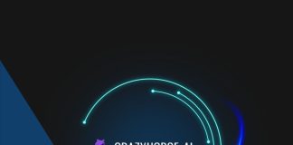 Cómo usar CrazyHorseAI AI