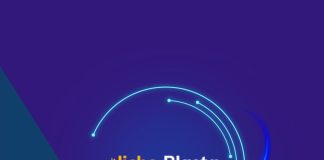 Cómo usar NicheBlasta AI