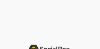 Cómo usar SocialBee AI