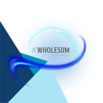 Cómo usar Wholesum AI