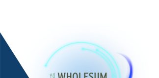 Cómo usar Wholesum AI