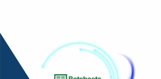 Cómo usar Botsheets