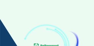 Cómo usar DePassport AI