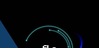 Cómo usar Flo Cli AI