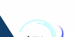 Cómo usar NicheBot AI