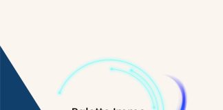 Cómo usar Palette Immo AI