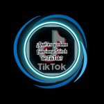 ¿Qué es y cómo funciona Stitch de TikTok