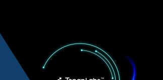 Cómo usar Topaz Labs AI