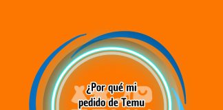 ¿Por qué mi pedido de Temu se dividió en dos o más paquetes
