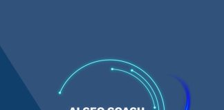 Cómo usar AI CEO Coach