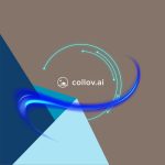 Cómo usar Collov