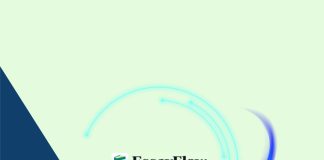 Cómo usar EssayFlow