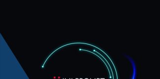 Cómo usar IMI Prompt