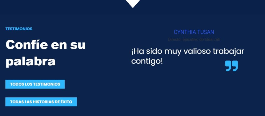 Cómo usar un entrenador de CEO de IA - Cómo usar AI CEO Coach