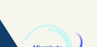 Cómo usar MicroByte