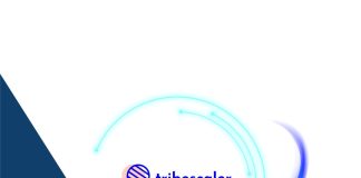 Cómo usar Tribescaler