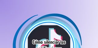 Cómo silenciar las notificaciones push en TikTok