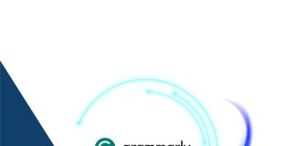 Cómo usar Grammarly