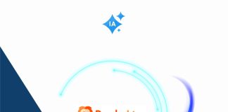 Cómo usar RenderLion