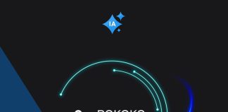 Cómo usar Rokoko Vision