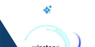 Cómo usar Winston AI