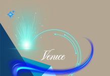 Cómo usar Venice AI