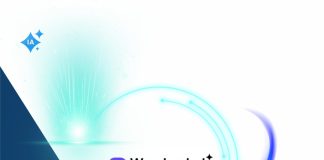 Cómo usar Wonderchat