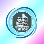 Cómo actúa TikTok ante el contenido de maltrato animal Cómo actúa TikTok ante el contenido de maltrato animal