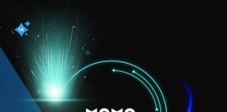 Cómo usar Momo AI
