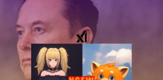 ani-rudy-avatares-nsfw-supergrok-elon-musk