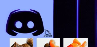 midjourney-crear-videos-bucle-personalizar-fotograma-final