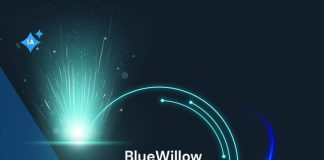 Cómo usar BlueWillow