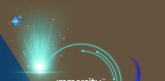 Cómo usar Immersity