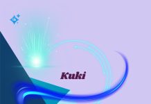 Cómo usar Kuki AI