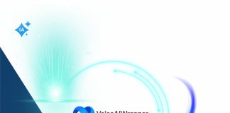 Cómo usar Voice AI Wrapper