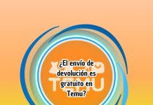 ¿El envío de devolución es gratuito en Temu